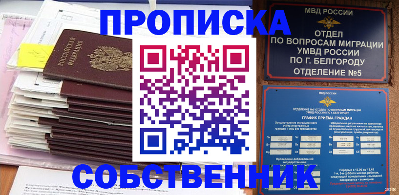 прописка законно в Сураже